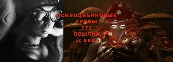 ГАЛЛЮЦИНОГЕННЫЕ ГРИБЫ Горнозаводск